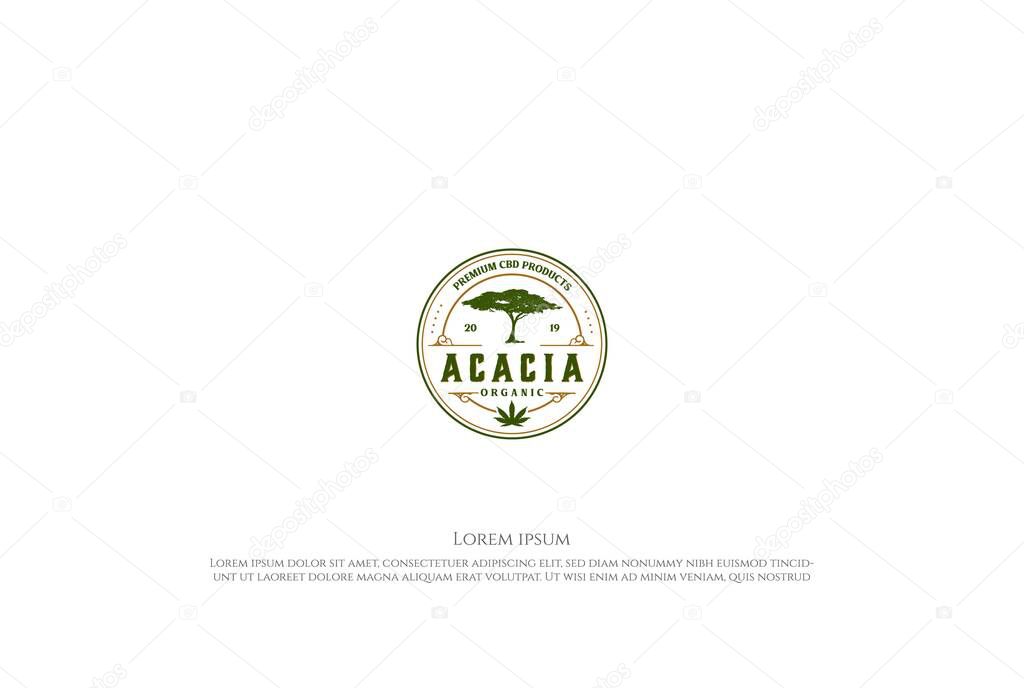Vintage Circular Round Acacia Tree Badge Emblem for Marijuana Cannabis Hemp CBD Oil Logo Design Vector