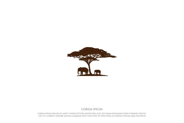 Sílhueta Árvore Acácia Africana Com Elefante Para Safari Selvagem Conservação — Vetor de Stock