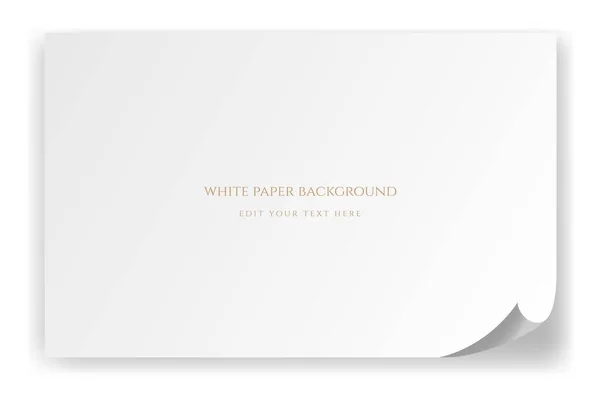 Simples Minimalista Elegante Luxo Branco Branco Papel Fundo Design Vector — Vetor de Stock