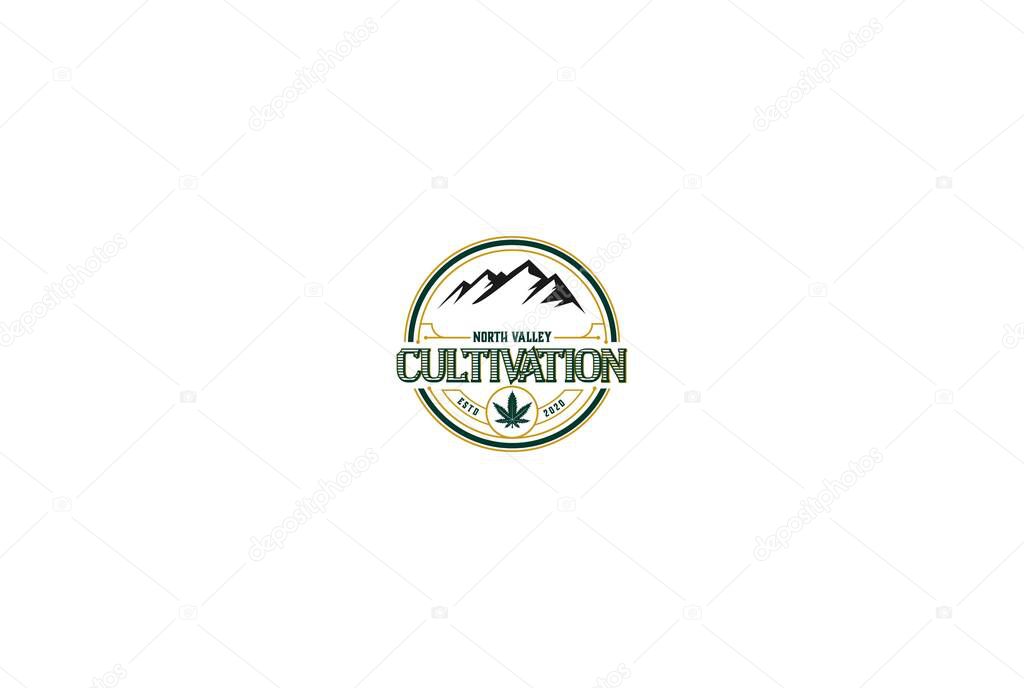 Retro Vintage Marijuana Cannabis Ganja Leaf with Mountain Hill for Hemp CBD Oil Product Label Logo Design Vector