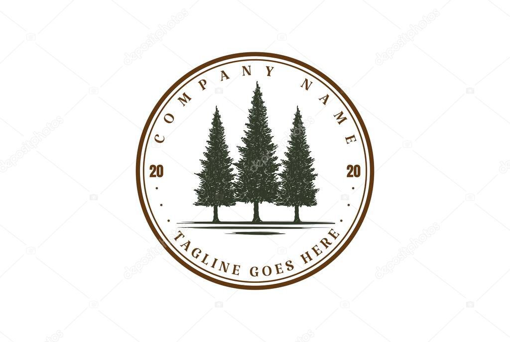 Rustic Pine Evergreen Cedar Cypress Larch Conifer Coniferous Fir Trees Forest Badge Emblem Logo Design Vector