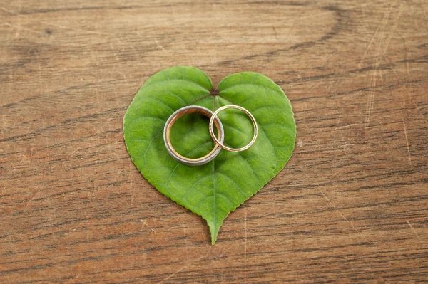 Hermosos anillos de boda de oro en hoja verde con fondo de madera — Foto de Stock