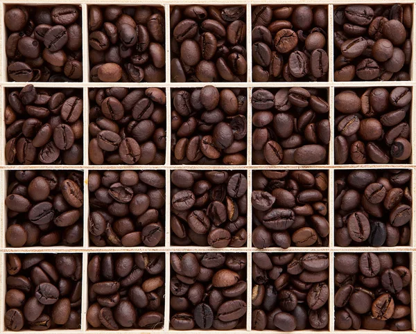 Assortment of brown roasted coffee bean in wooden box set can be — Stock Photo, Image
