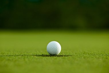 seçici odak. yeşil çim iyi f üzerinde delik yakınındaki beyaz golf topu