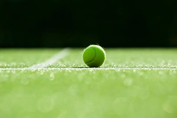 Concentrazione selettiva. palla da tennis sul campo da tennis in erba buona per la schiena — Foto Stock