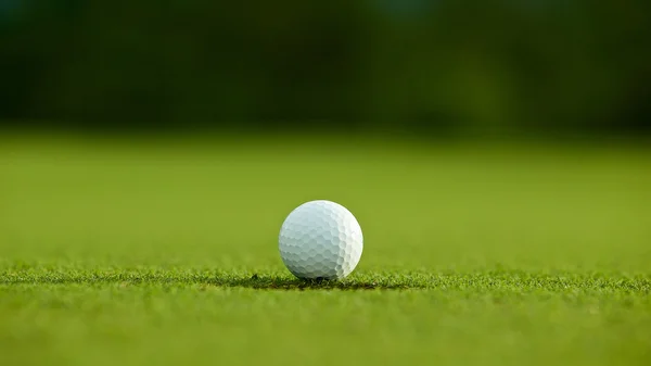 Selektiv inriktning. vit golfbollen nära hål på grönt gräs bra f — Stockfoto