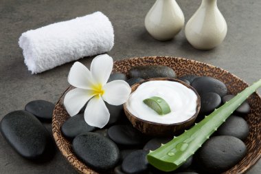 Spa kavramı. Hindistan cevizi kabuğu zekâ beyaz krem dilim aloe vera