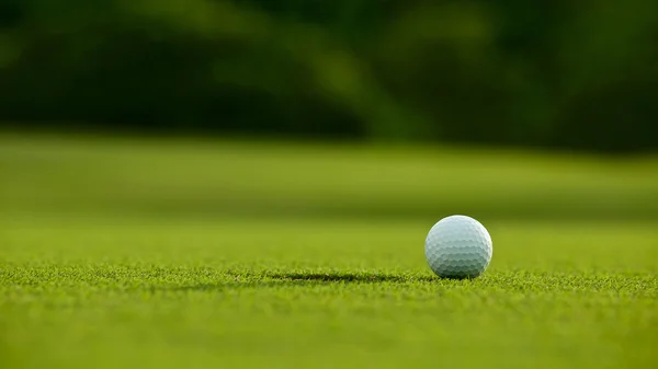 Selective focus. white golf ball near hole on green grass good f — Stock Photo, Image