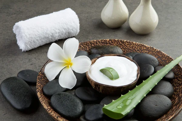 Wellness-Konzept. Scheibe Aloe Vera auf weißer Sahne in Kokosnussschale mit Witz — Stockfoto