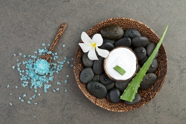 Wellness-Konzept. Scheibe Aloe Vera auf weißer Sahne in Kokosnussschale mit Witz — Stockfoto