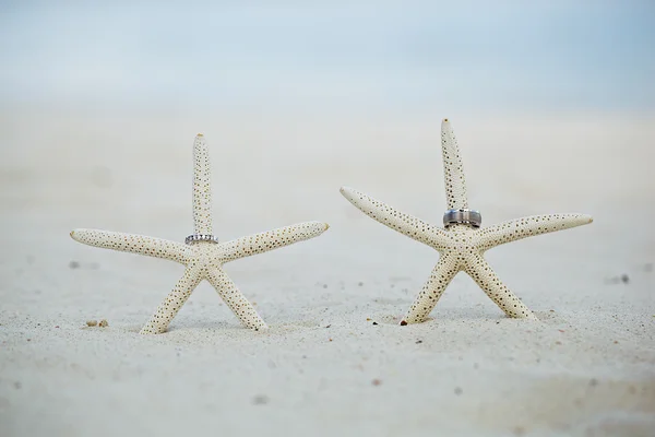 Anéis de casamento com estrela do mar na praia de areia branca — Fotografia de Stock