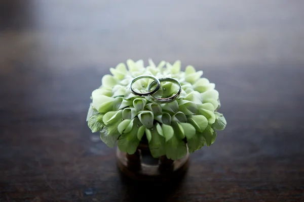 Anillos de boda en la decoración de flores blancas —  Fotos de Stock