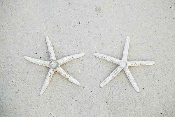Wedding rings with starfish on white sand beach — Stock Photo, Image