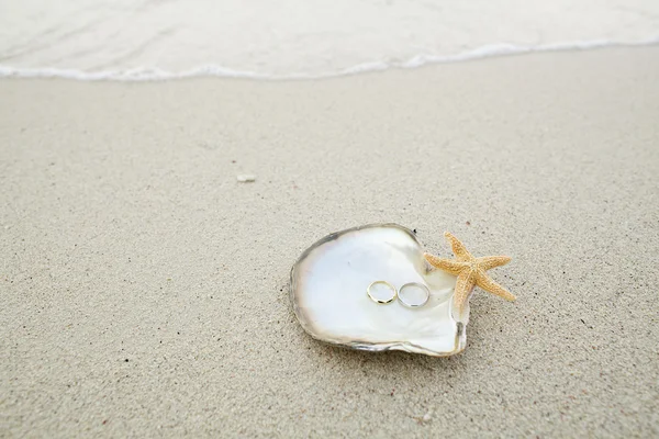 Wedding rings with shell on the beach — Stock Photo, Image