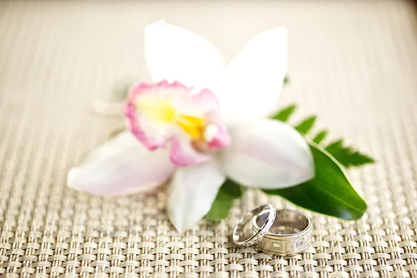 Anneaux de mariage avec décoration de fleurs d'orchidée blanche — Photo