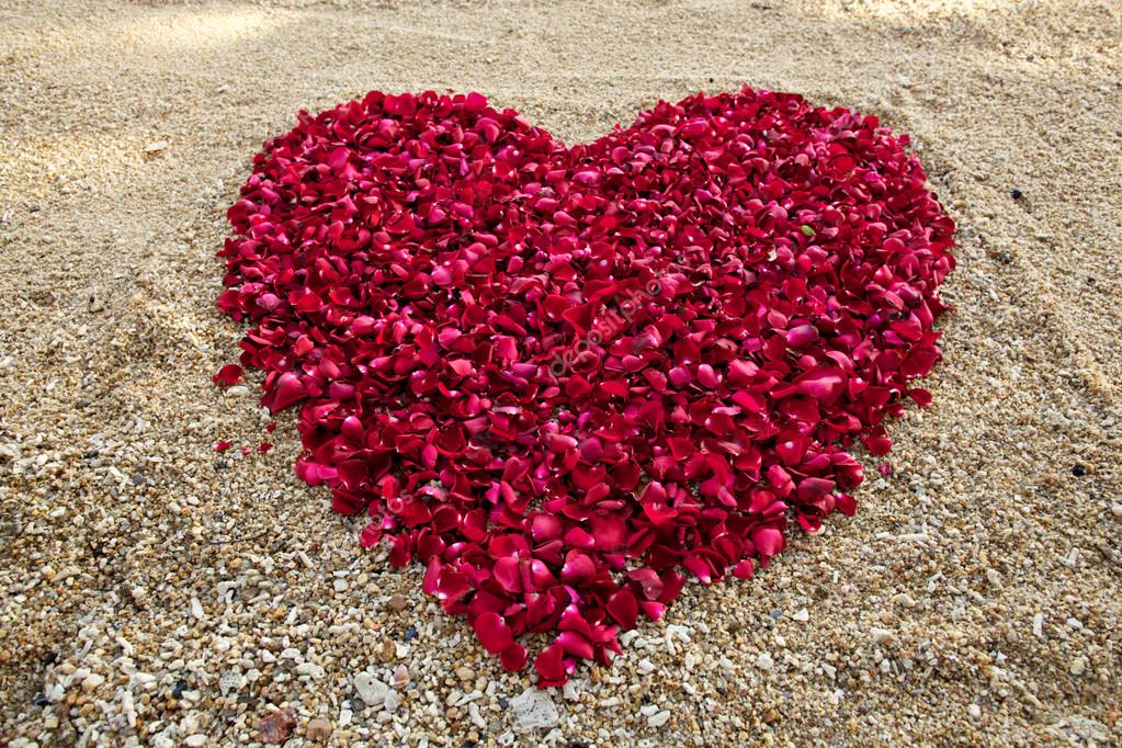 Rose petal in heart shape on white sand beach — Stock Photo © kireewongfoto 70522237