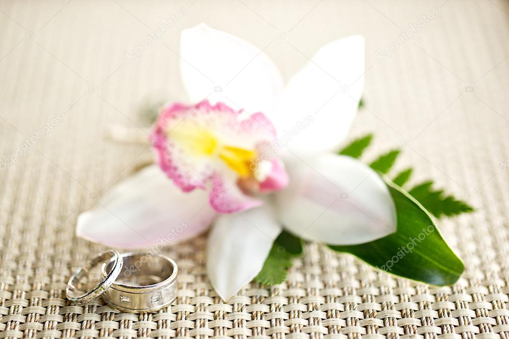 Wedding rings with white orchid in the background