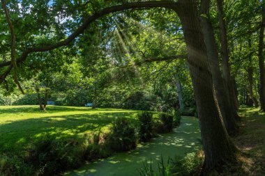 Manzara bahçesi ve Luetsburg Şatosu 'nun kale parkı. Luetsburg, Almanya 'nın Kuzey Denizi kıyısındaki Kuzey Frizya' da yer alır.