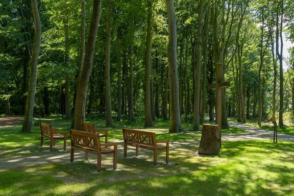 在Luetetsburg城堡城堡公园里的埋葬森林Waldfrieden吕特茨堡座落在德国北海沿岸的北弗里斯兰 — 图库照片