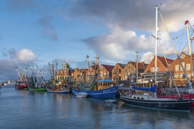 Neuharlingersiel 'deki balıkçı limanında yengeç kesicisi. Neuharlingersiel, Almanya 'nın Kuzey Denizi kıyısındaki Doğu Frizya' da yer alır..