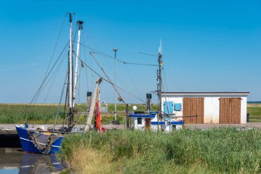 Shrimp cutter in the natural harbour of Spieka. Spieka is located in East Frisia on the German North Sea coast.
