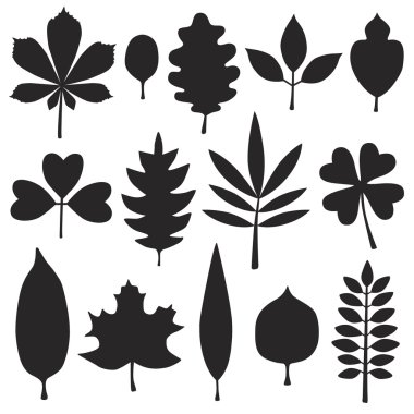 Yaprakları siluet kümesi
