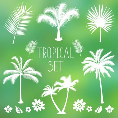 Tropikal ağaçlar set