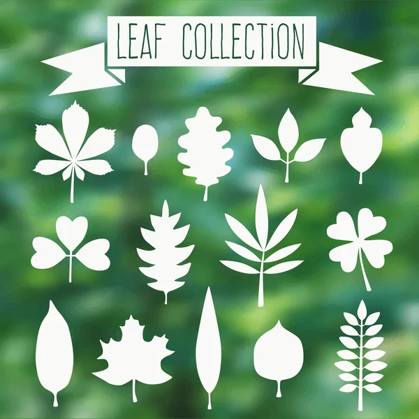 Conjunto de hojas silueta — Archivo Imágenes Vectoriales