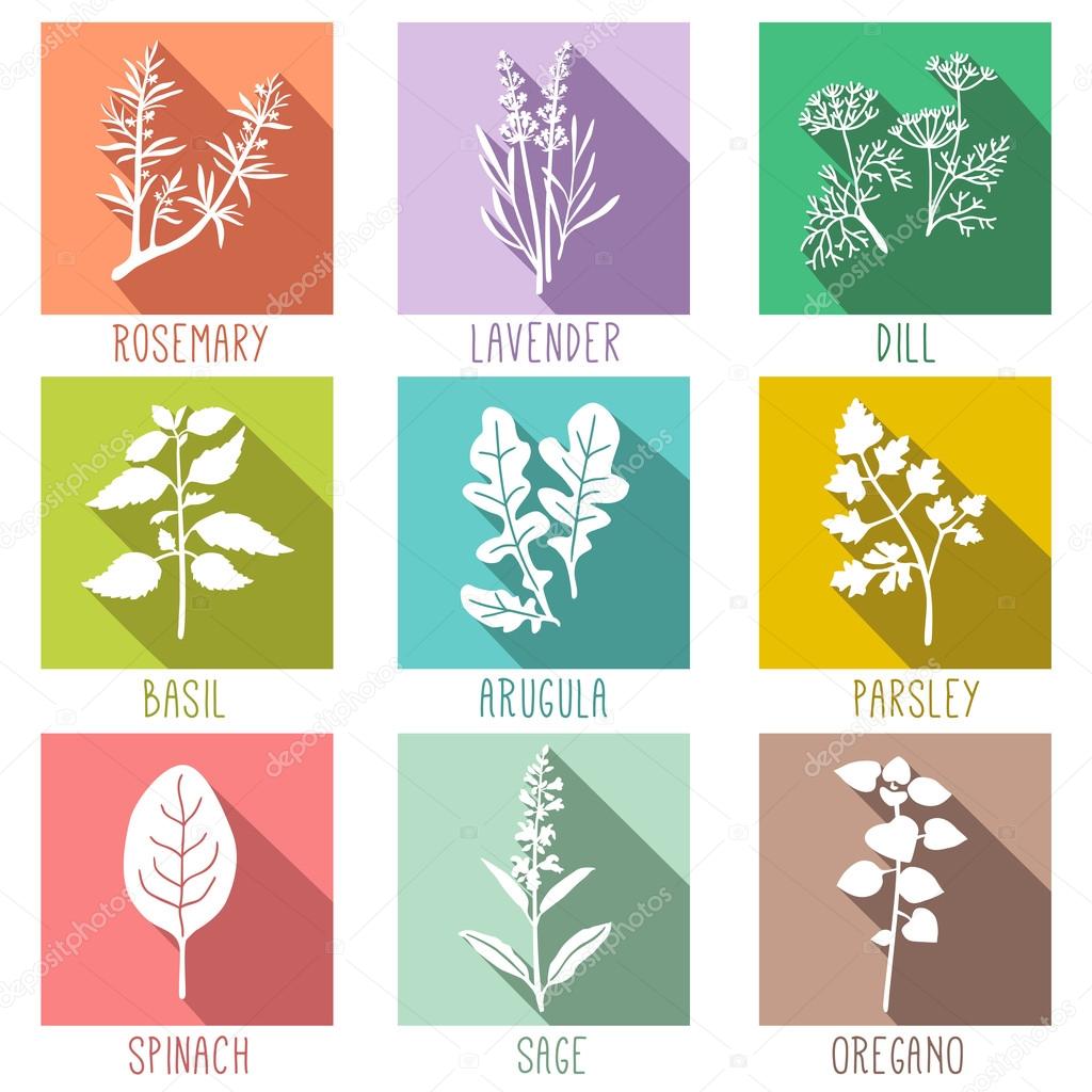 Fresh herbs and spices icon set, flat style icons with long shadows Vector illustration.