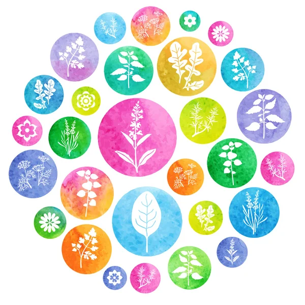 Ensemble d'icônes aquarelle aux herbes et épices — Image vectorielle