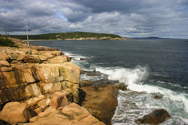 Welle und felsige Küste, Nationalpark Acadia Stockfoto