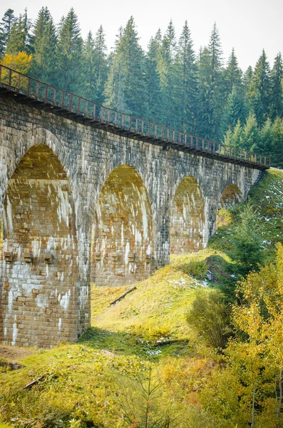 Demiryolu Karpat Dağları'nda