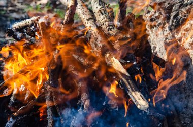 Ateş açın. Şiş kebap pişirmek için odundan yapılmış bir ateş.