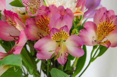 Hafif arka planda çiçekler. Kartpostallar ve pankartlar için arka plan