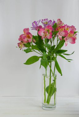 Hafif arka planda çiçekler. Kartpostallar ve pankartlar için arka plan