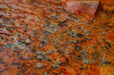 Glade of Narzans. Doğal maden suyu kaynağı.