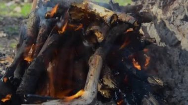 Open fire. A fire made of wooden firewood