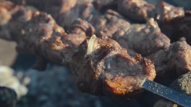 The meat is fried over an open fire. — Stockvideo