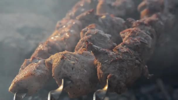The meat is fried over an open fire — Stockvideo