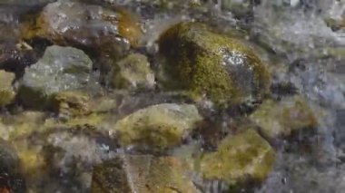 Clear water flows rapidly in a mountain river over rocks