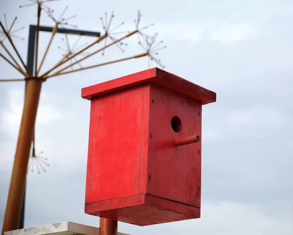 Barevná Dřevěná Ptačí Budka Městě — Stock fotografie