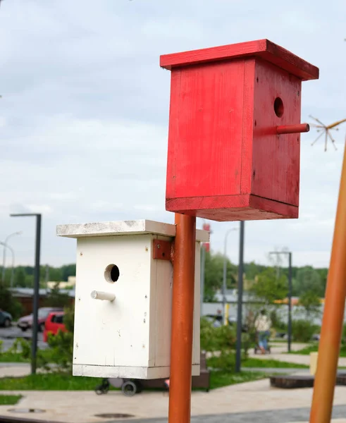 Κόκκινα Και Άσπρα Ξύλινα Σπίτια Πουλιών Στην Πόλη — Φωτογραφία Αρχείου