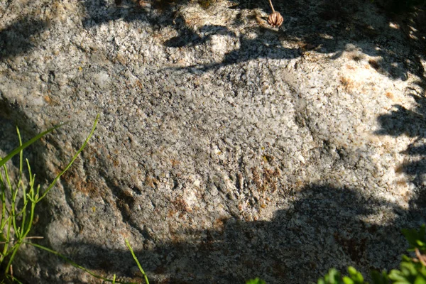 Granite Stone Closeup Park — 스톡 사진