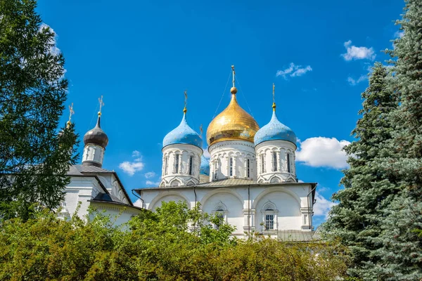 Знаменитый Новоспасский Монастырь Собор — стоковое фото