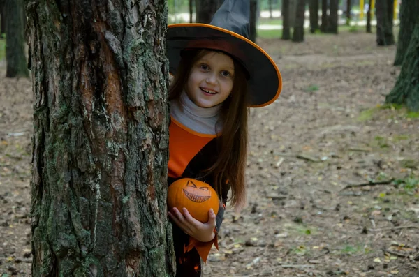 Cute Girl Looks Out Tree Holds Pumpkin Her Hands — Stockfoto