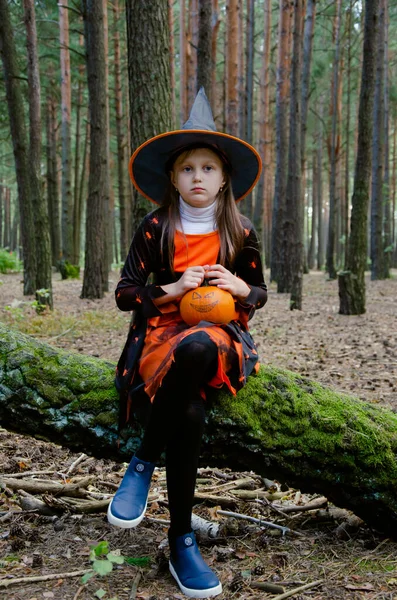 Bruxa Menina Senta Uma Árvore Segura Uma Abóbora Halloween Feriado — Fotografia de Stock