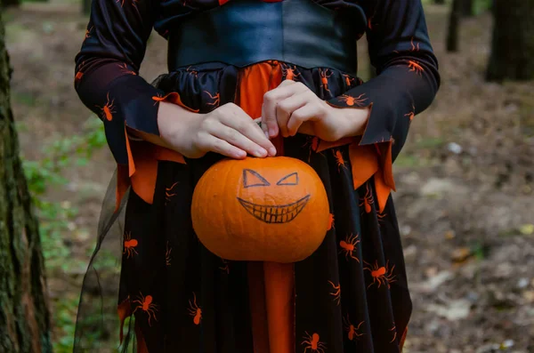 Mädchen Liegt Auf Einem Baum Und Hält Einen Kürbis Mit — Stockfoto