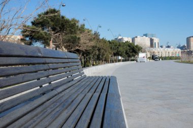 Güneşli bir günde, bir şehir parkına yakın çekim. Yüksek kalite fotoğraf