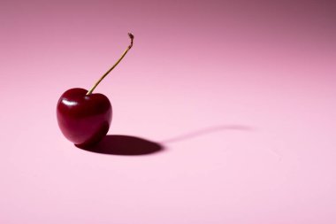 yazacak yeri olan bir tur