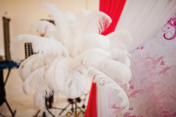 Eléments plumes à la décoration de mariage — Photo